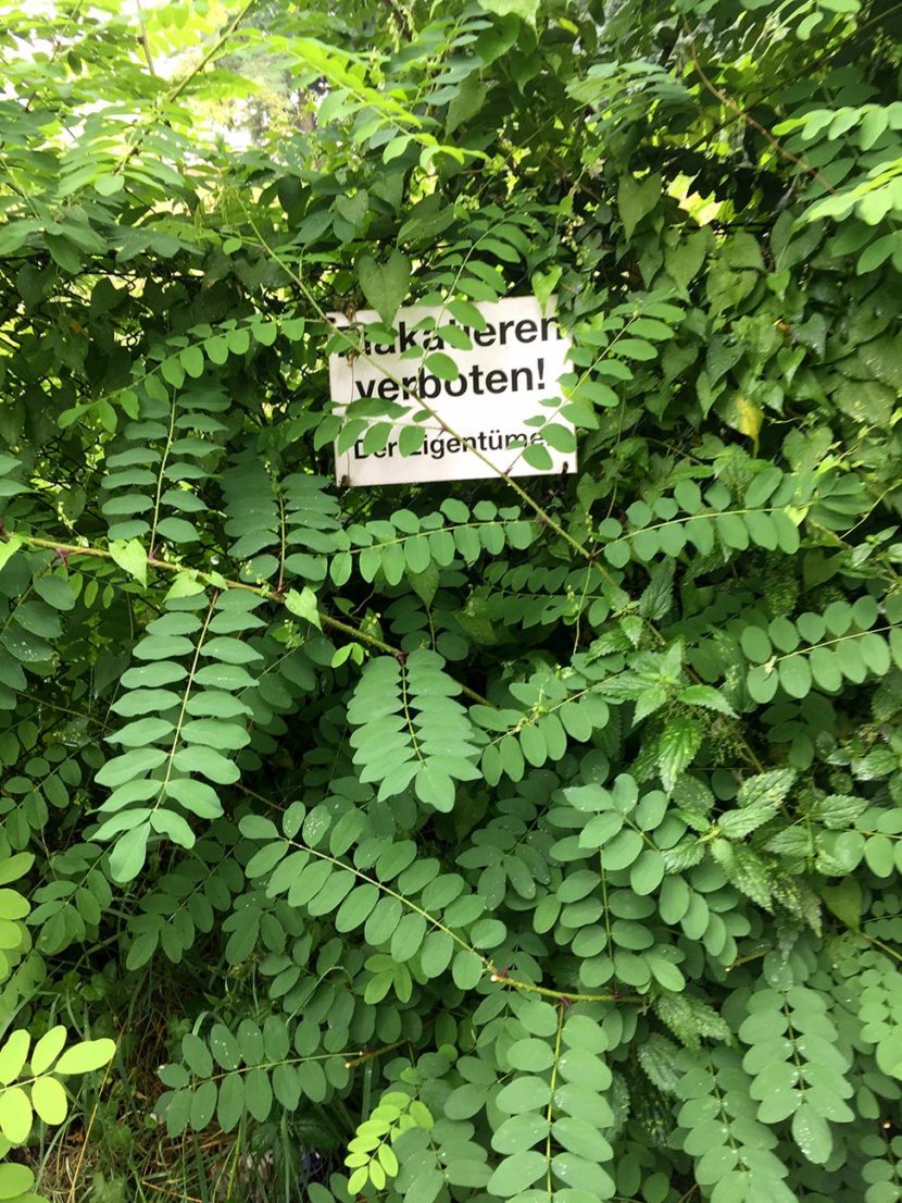 plakatieren verboten schild