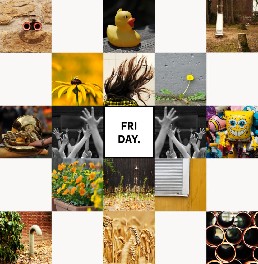 Freitag - viele Bilder zu Freitag