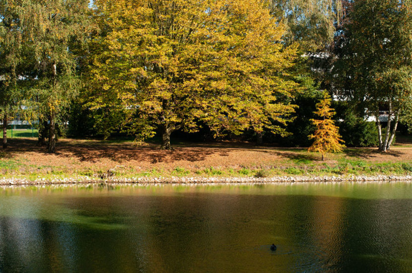 Kaiserpark im Herbst