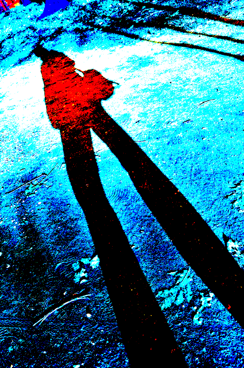 hunting for shadows