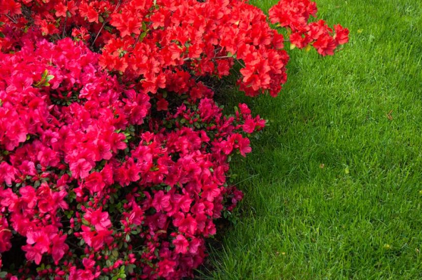 im Rausch der Farben
