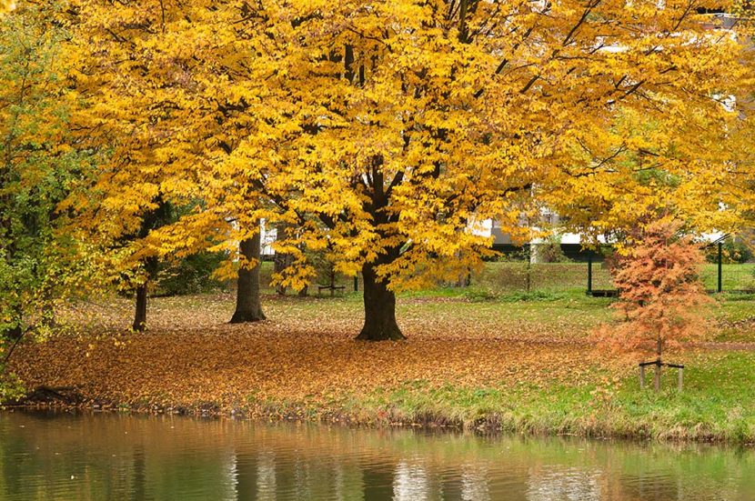 farben im herbst