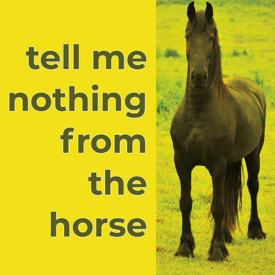 erzähl mir nichts vom pferd